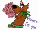 Flowers For You