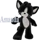 kitty