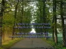 my path...