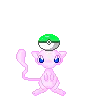 Pkm -- mew