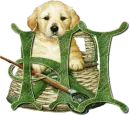 dog fishing