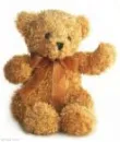 teddy