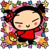 pucca