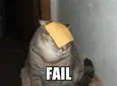 Cheesecat