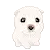 cute puppy