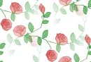 rosetile1