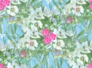 rosetile4