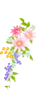 colorful flowers