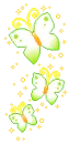 butterflys