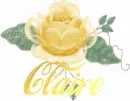 Claire's Yellow Rose