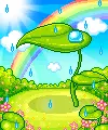 rain