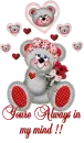 creddy bear 