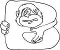 Monkey B