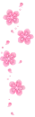 pink flowers