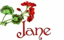 Jane