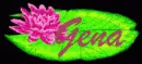 gena