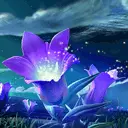 violet night flower