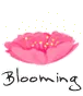 blooming