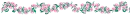 pink flowers