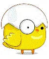 swt