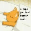 kitty
