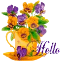 Hello