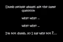 dumb people