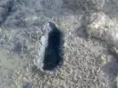 maNhole