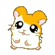 hamtaro