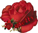 Betty Rose