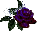 Dinah Rose