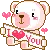 cute bear