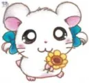hamtaro