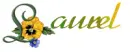 laurel