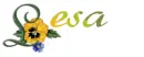 lesa