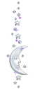 silver moon