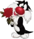 valentines day