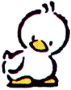 cute Ducky 