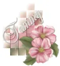 Tammy