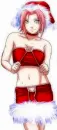 Sakura Christmas Style