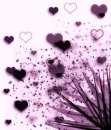 heart explosion