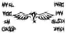 Confussed angel wings