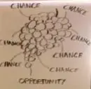 Grapes- the fruit of hope