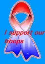 I support our troops