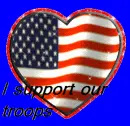 I support our troops
