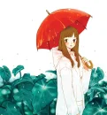 umbrella