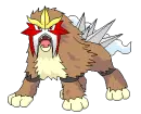 Pkm