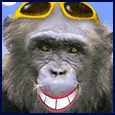 monkey