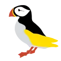 puffin