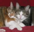 BFF!